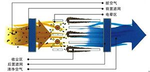 淨化原理